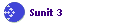 Sunit 3