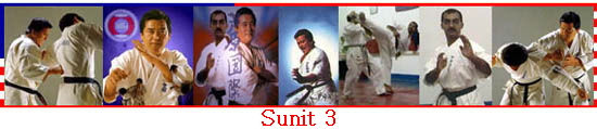 Sunit 3